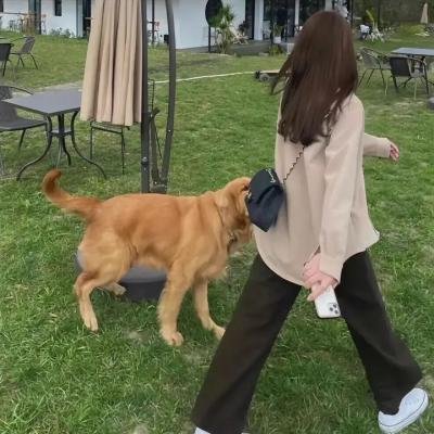 孤军突围